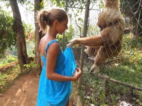 animales xxx zoo|New Bestiality Videos .